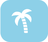 Palm